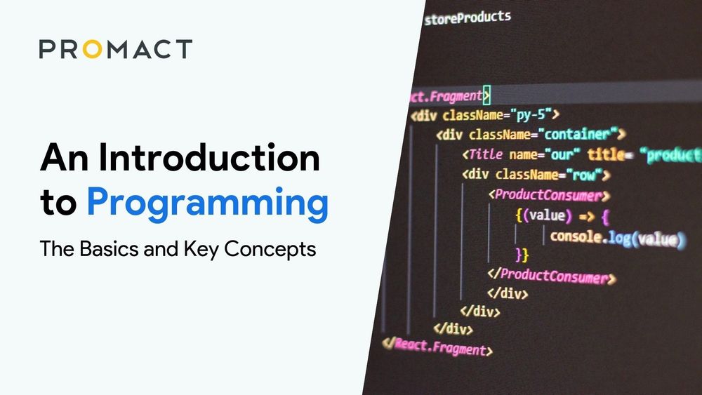 An Introduction to Programming: The Basics and Key Concepts