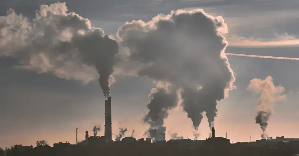 How Automated Data Reporting Supports Companies in Achieving Carbon Certifications